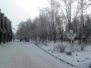 IMG_8977665